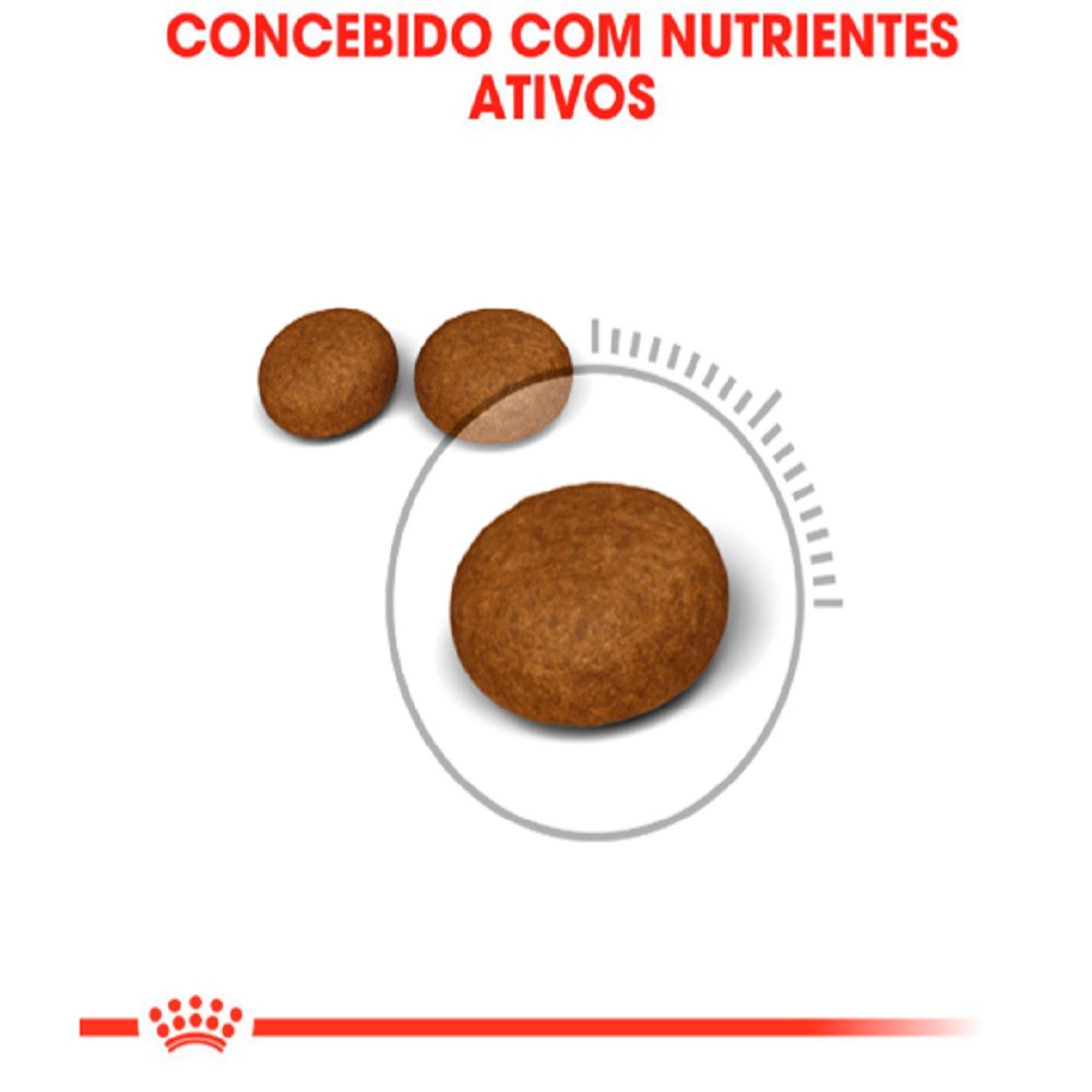 Ração Royal Canin Pele & Pelagem para Gatos Adultos