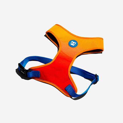 Peitoral para Cachorros Air Mesh Solaris | Zee.Dog