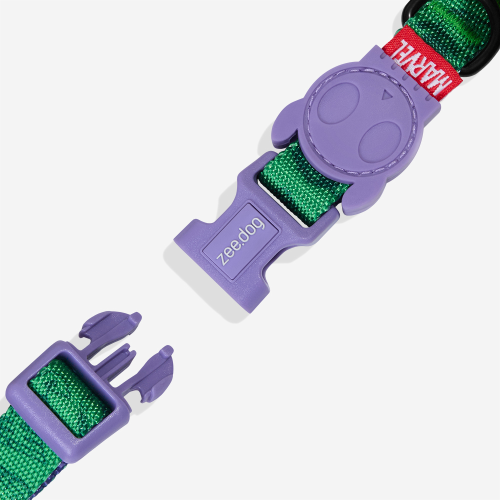 Coleira para Cachorros Marvel Hulk | Imagem 2