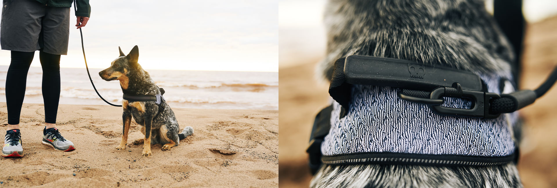 Peitoral para Cachorros FlyHarness Urban | Lifestyle Images