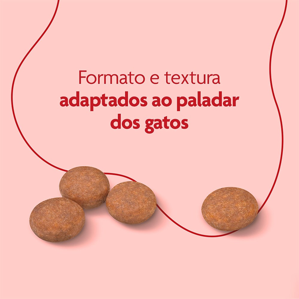 Ração Royal Canin Premium Cat Castrado para Gatos Adultos Castrados