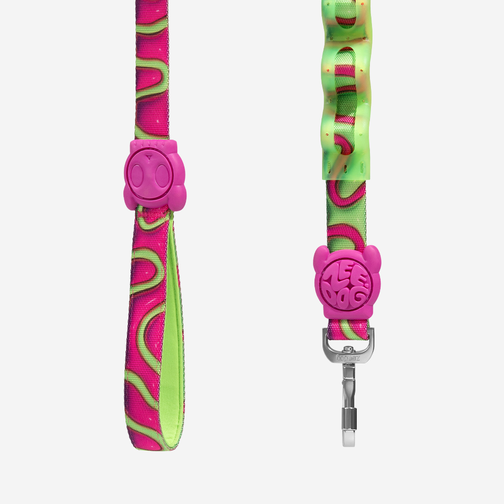 Guia com Amortecedor para Cachorros H3D Jelly | Imagem 3