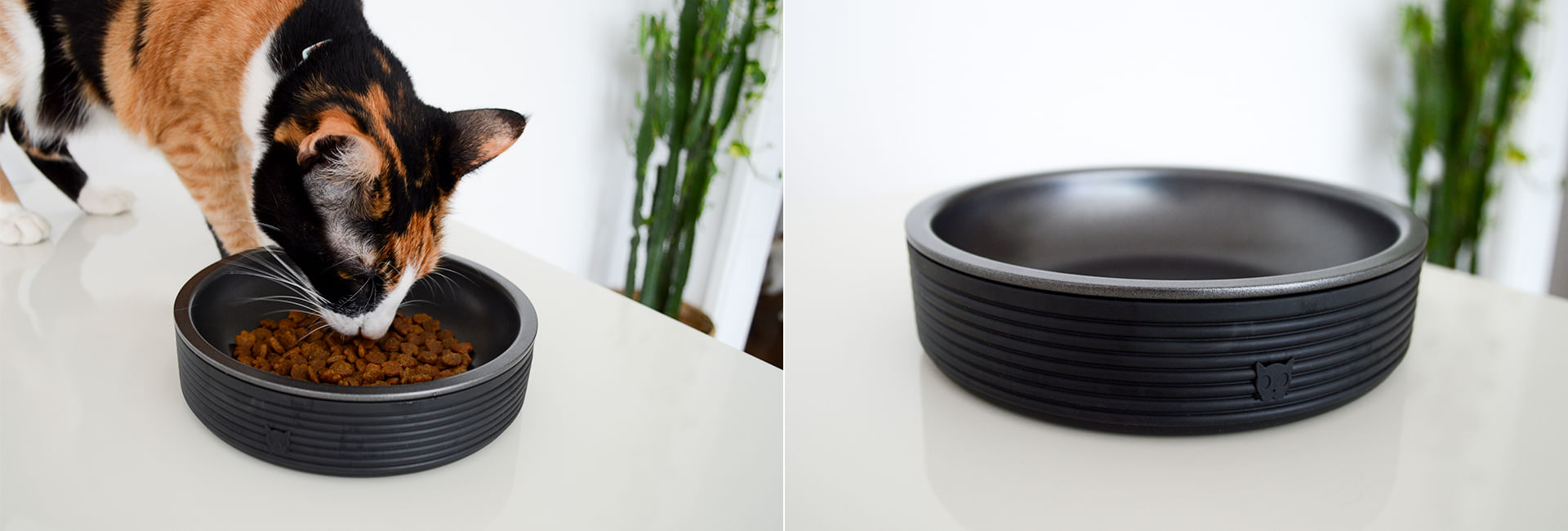 Comedouro Zee.Cat Duo Bowl Black para Gatos | Lifestyle Images