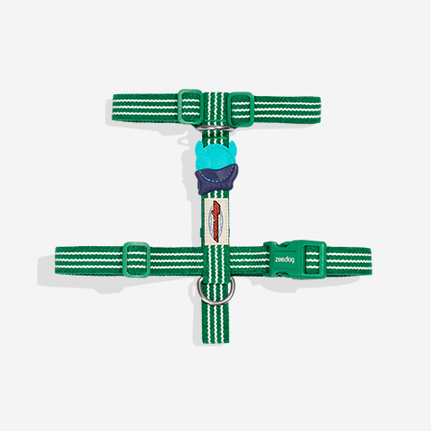 Peitoral para Cachorros H Velvet Vibes Vert