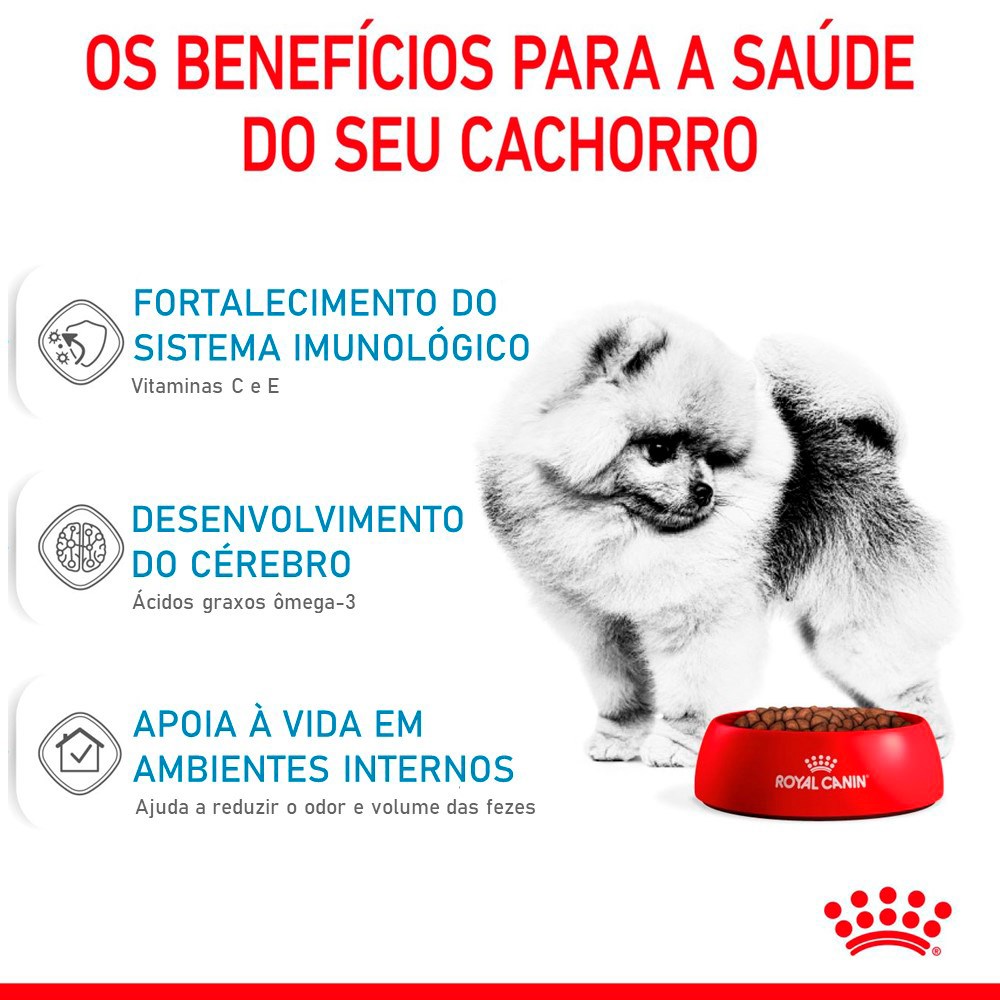 Ração Royal Canin Puppy Mini Indoor para Cães Filhotes de Porte Pequeno