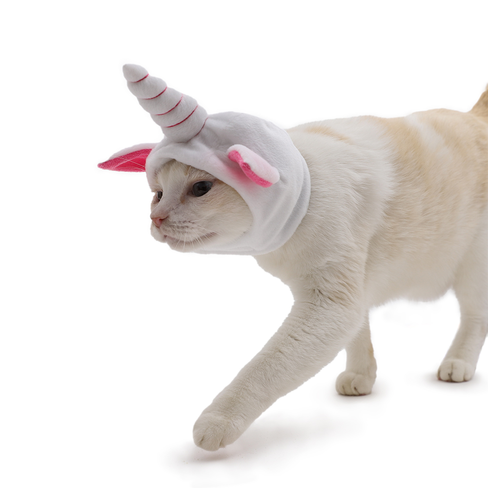 Fantasia de Unicórnio Cansei De Ser Gato