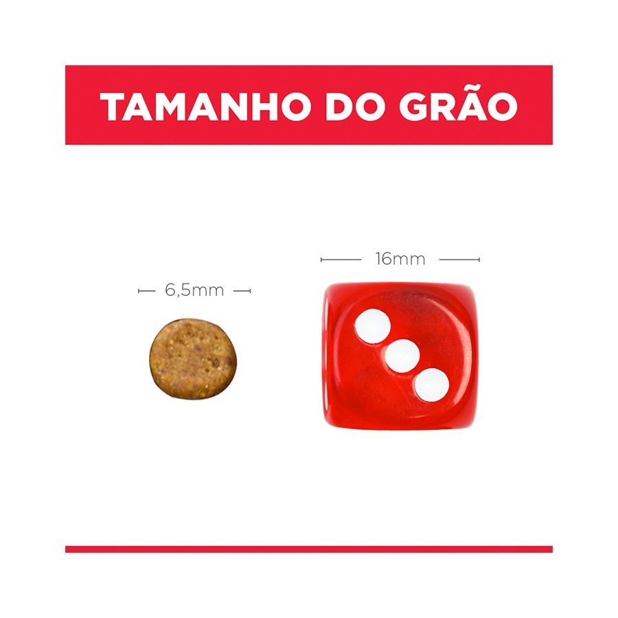 Ração Hill's Science Diet para Gatos Filhotes