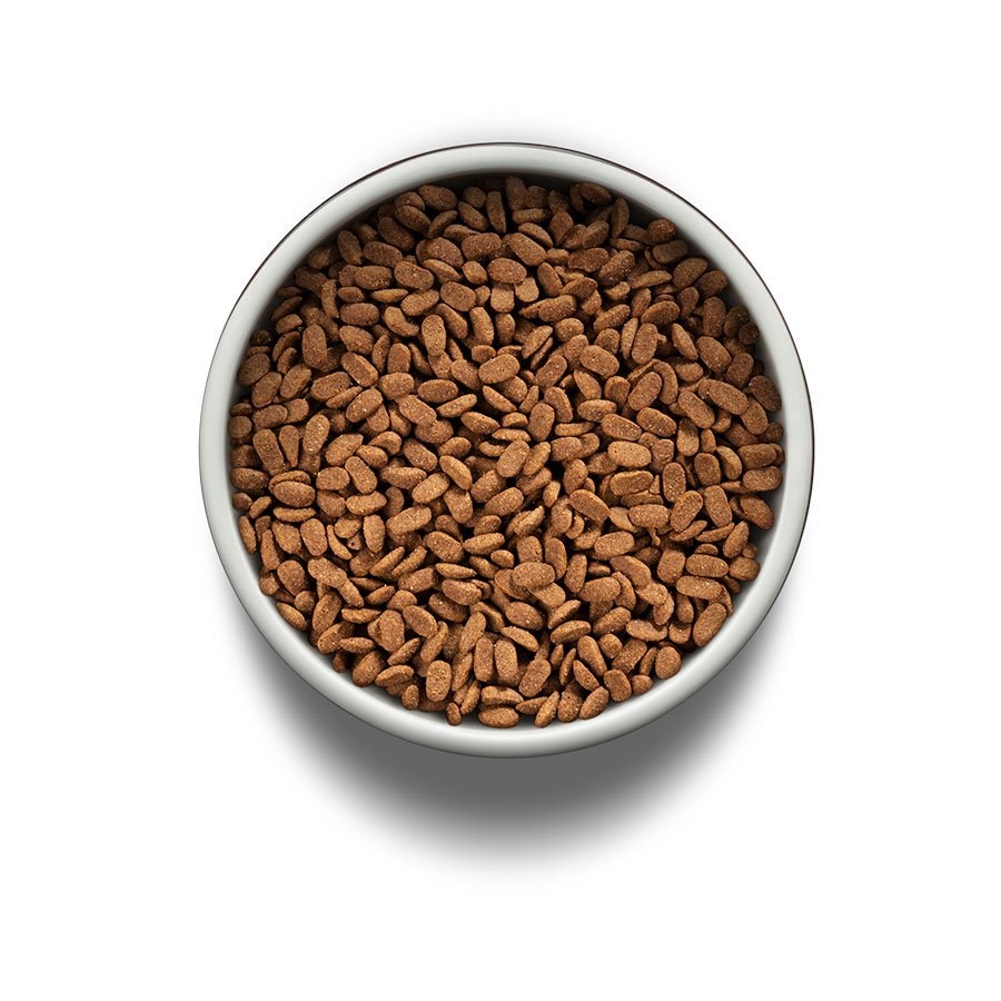 Ração Guabi Natural para Gatos Adultos Castrados sabor Salmão & Cevada