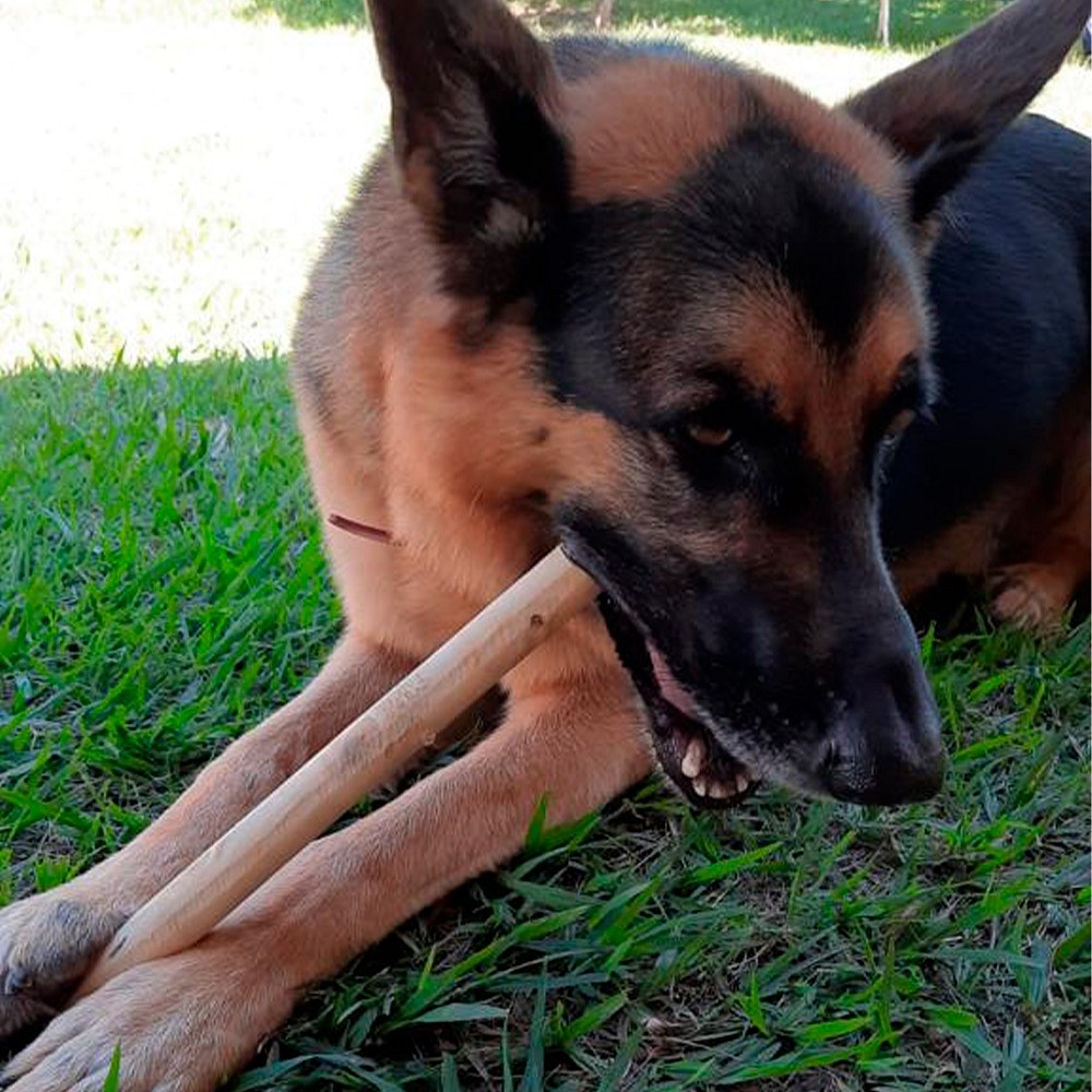Brinquedo Wood Amicus Sustentável Rústico para Cães
