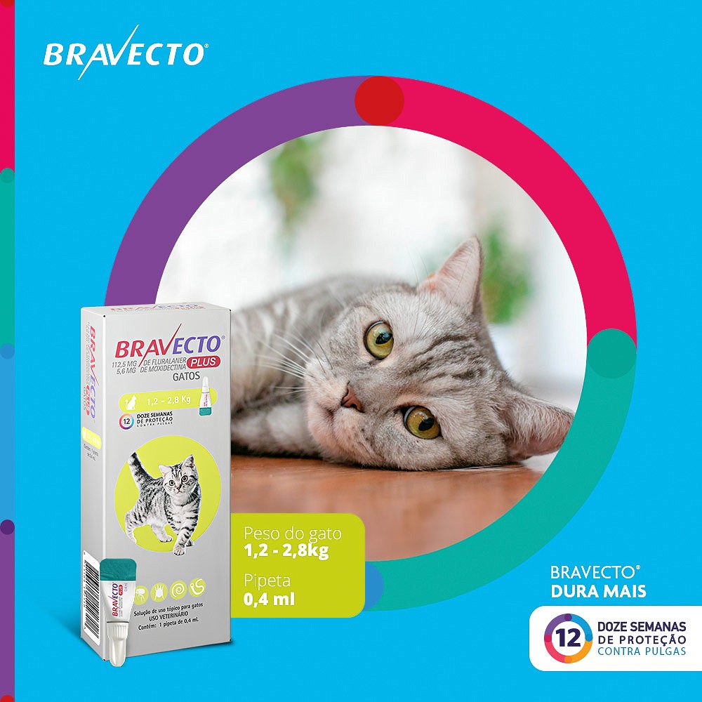 Antipulgas Bravecto Transdermal Plus para Gatos -  1 Pipeta de 112,5mg