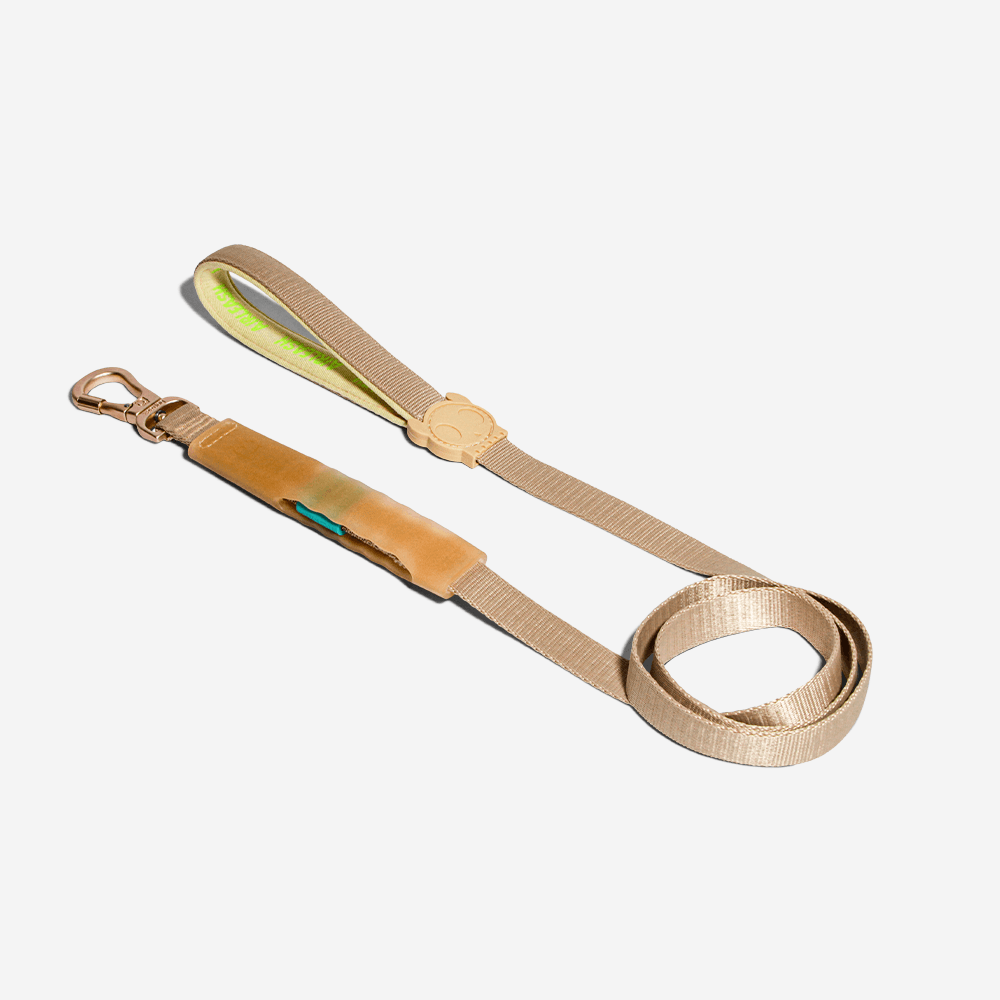 Guia para Cachorros Airleash Kim | Imagem 4