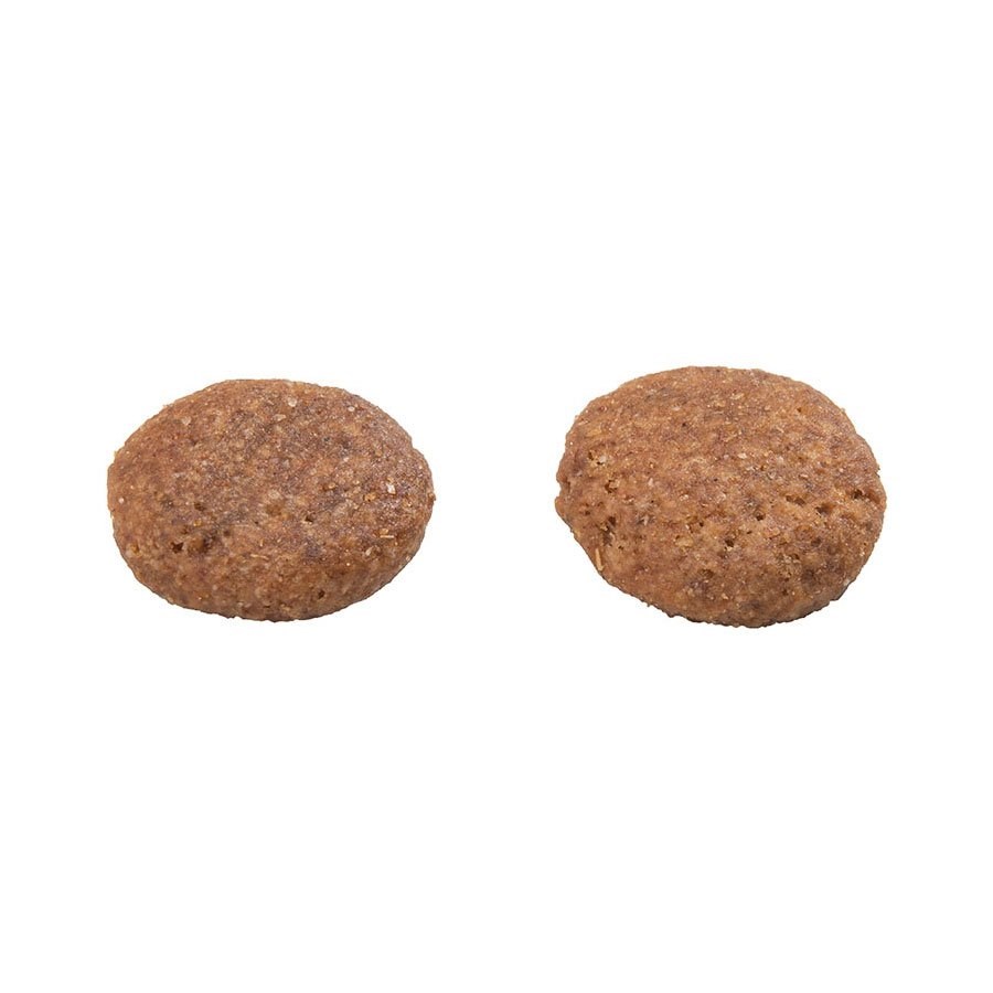 Ração Granplus Menu para Cães Adultos sabor Carne & Arroz 