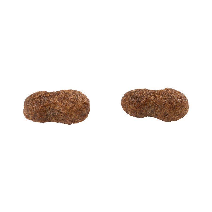 Ração Guabi Natural para Cães Adultos Porte Médio sabor Salmão & Cevada