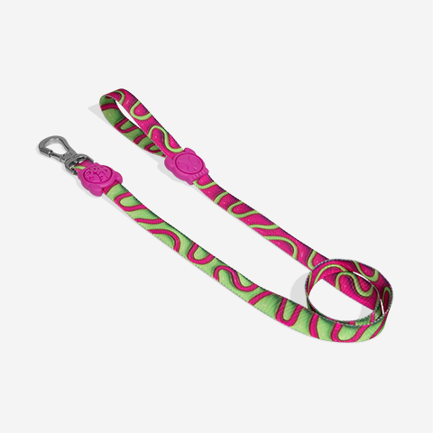 Guia para Cachorros H3D Jelly | Zee.Dog
