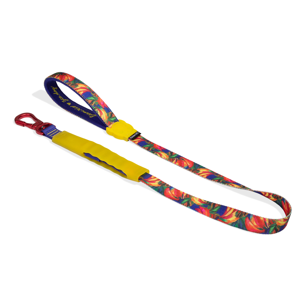 Guia para Cachorros Airleash FARM Rio Samba