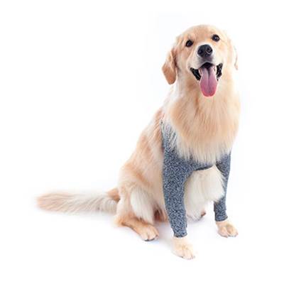 Roupa Protetora Pet Med para Membros Anteriores Duo Dry 3