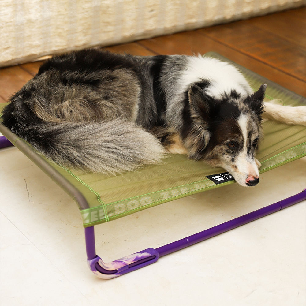 Cama para Cachorros Air.Bed Verde | Imagem 2