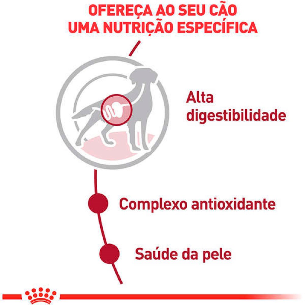 Ração Royal Canin Sachê Medium Adult para Cães Adultos de Porte Médio 