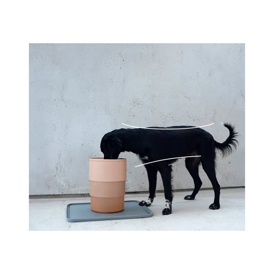 Comedouro para Cachorros Zee.Bowl Sand