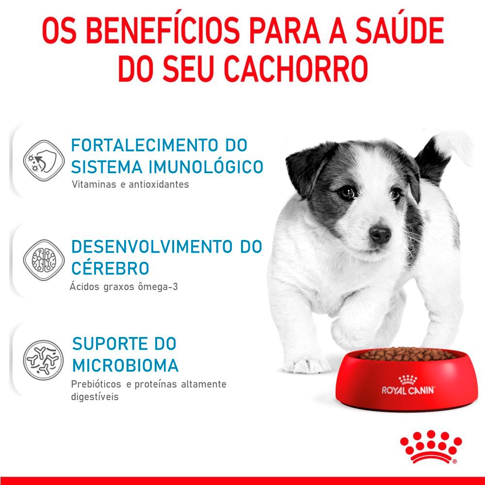 Ração Royal Canin Puppy Mini para Cães Filhotes de Porte Pequeno