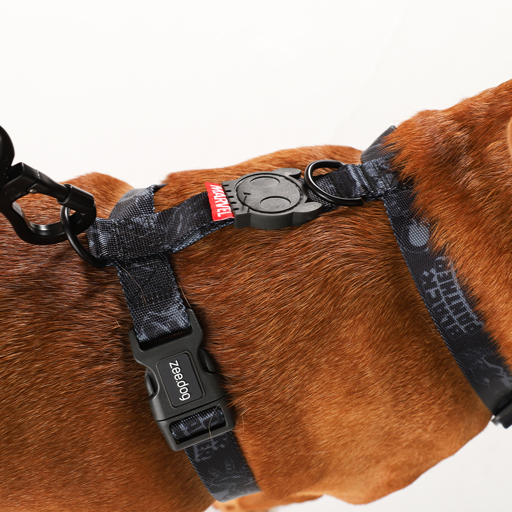 Peitoral para Cachorros H Marvel Pantera Negra | Imagem 3
