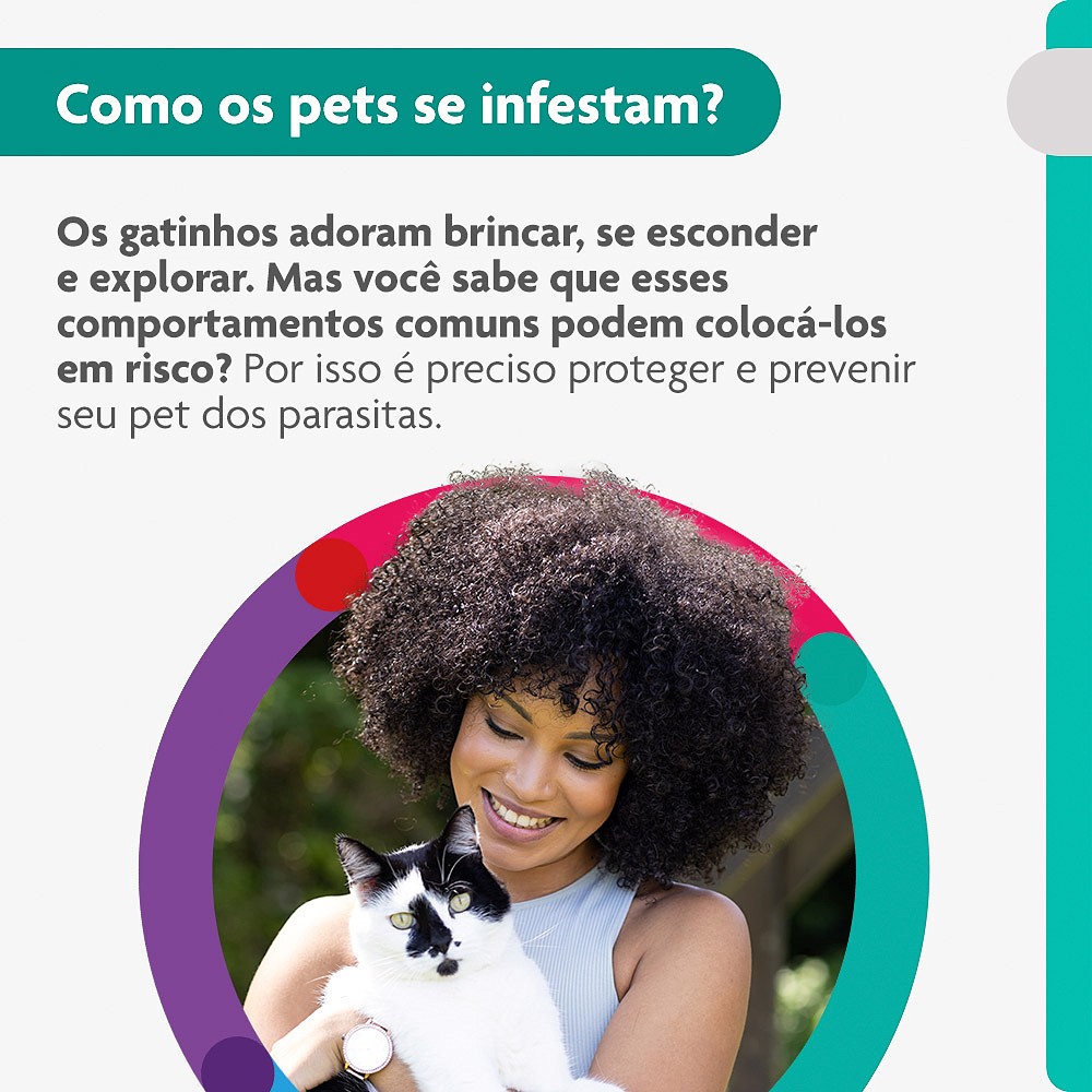 Antipulgas e Carrapatos Bravecto Transdermal para Gatos de 2,8kg a 6,25kg - 250mg