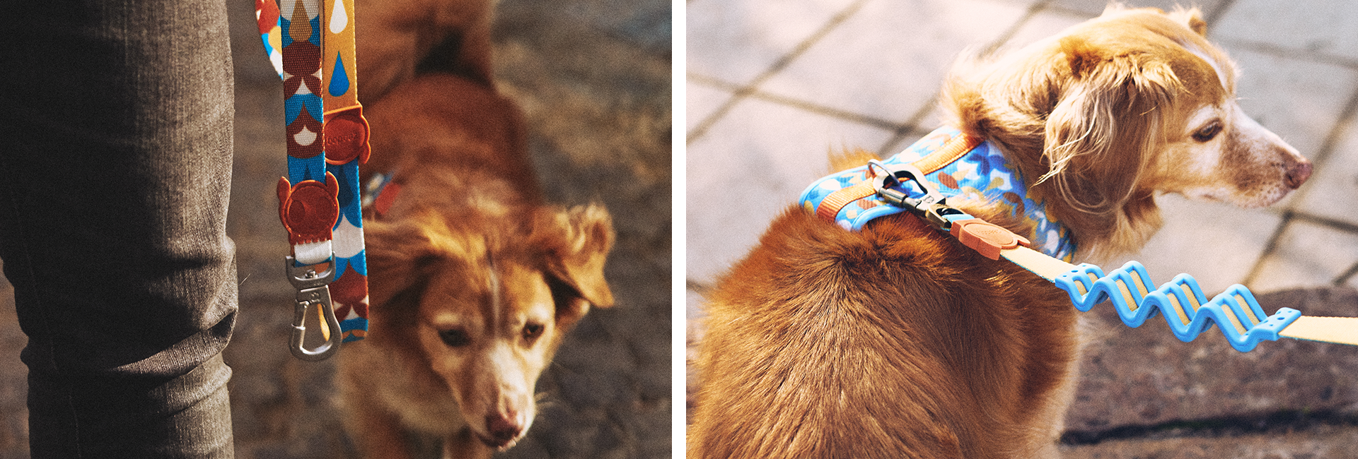 Peitoral para Cachorros H Yansun | Lifestyle Images