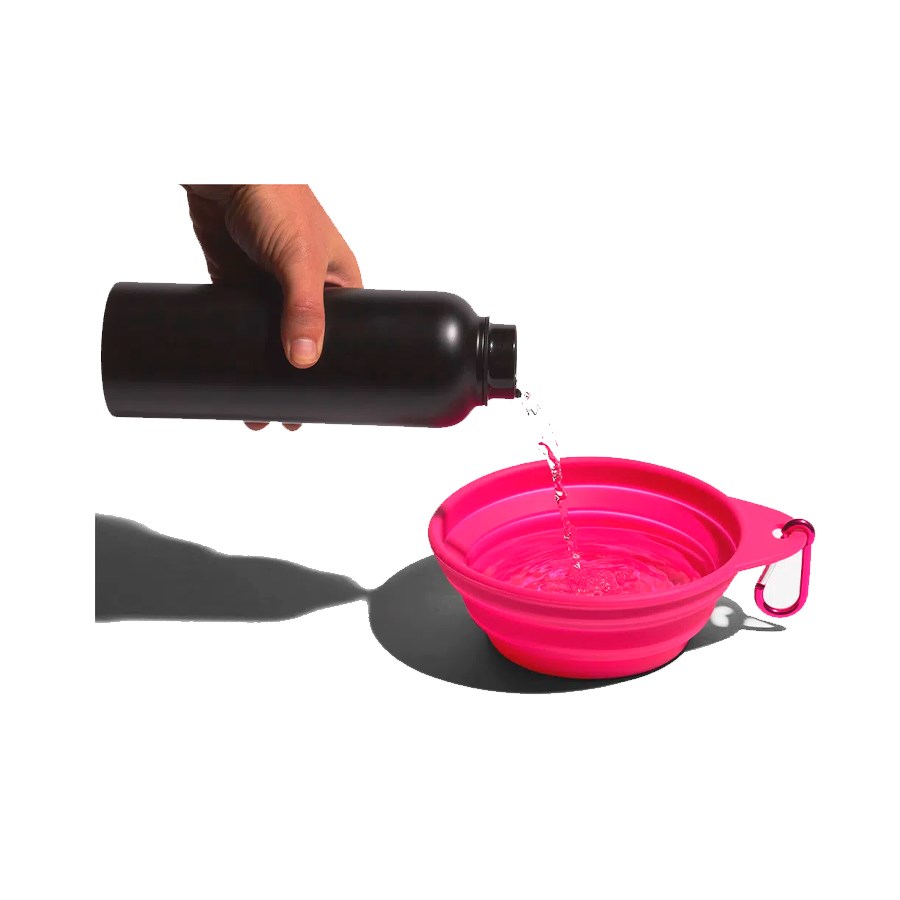 Comedouro para Cachorros Go Bowl Rosa