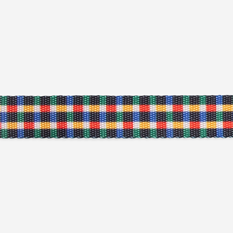 Coleira para Cachorros Travis | Zee.Dog