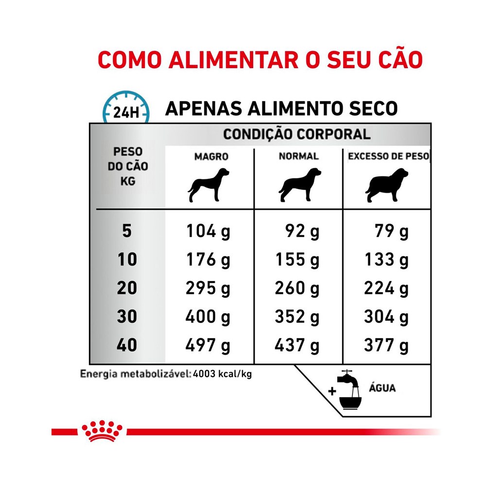 Ração Royal Canin Veterinary Diet Anallergenic para Cães Adultos