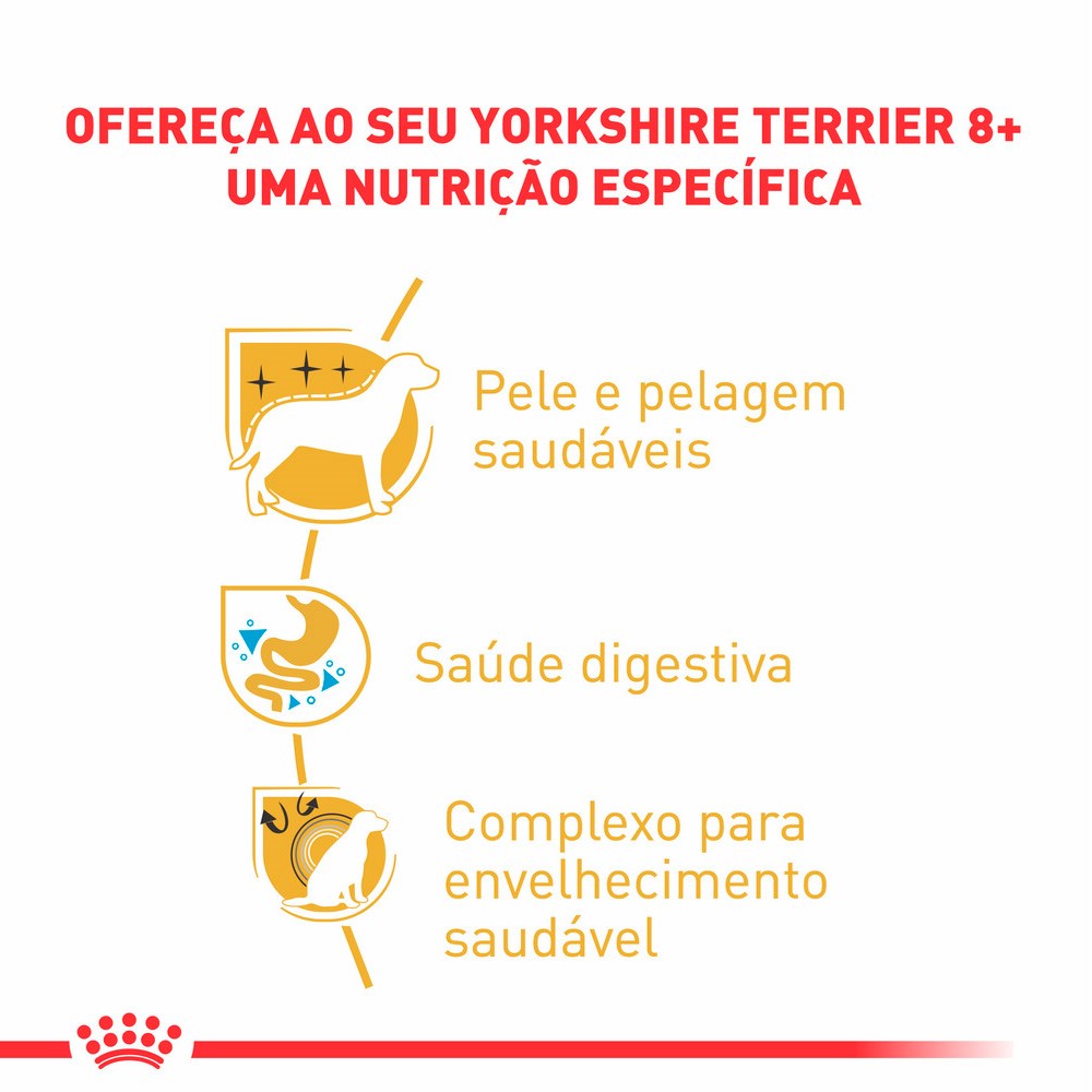 Ração Royal Canin Ageing 8+ para Cães Adultos acima de 8 anos da Raça Yorkshire 