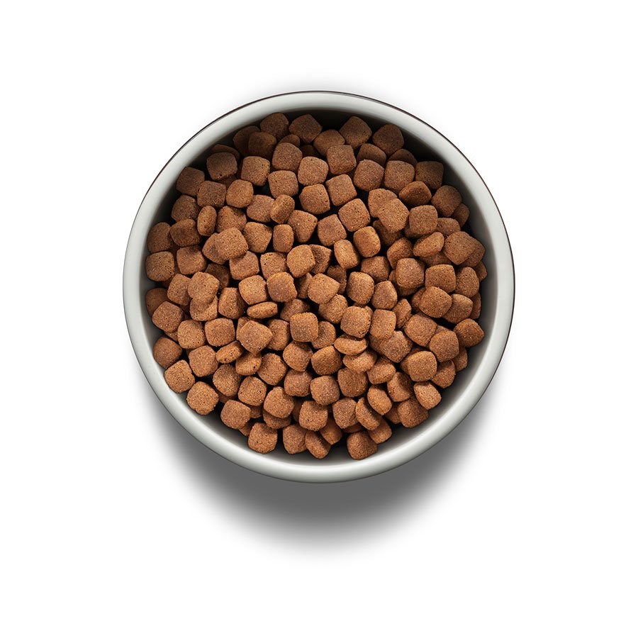 Ração Guabi Natural para Cães Adultos Porte Médio sabor Frango & Arroz Integral