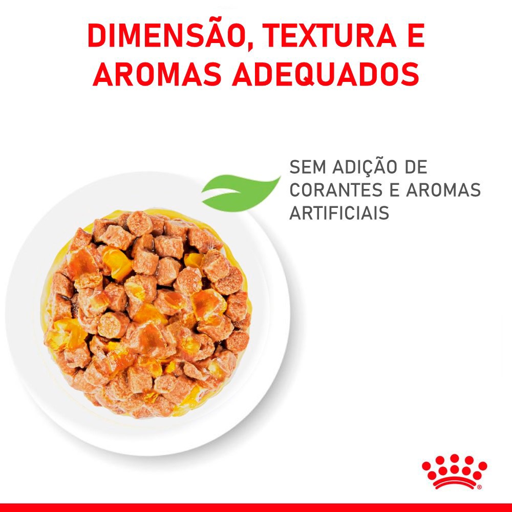 Ração Úmida Royal Canin Kitten Jelly para Gatos Acima de 12 Meses
