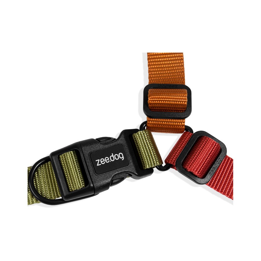 PSA9 AR 50枚セット　② 020afb4a54fd53d1391a019838b93d