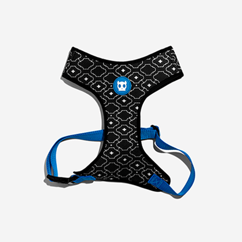 Peitoral para Cachorros Air Mesh Mahleb G
