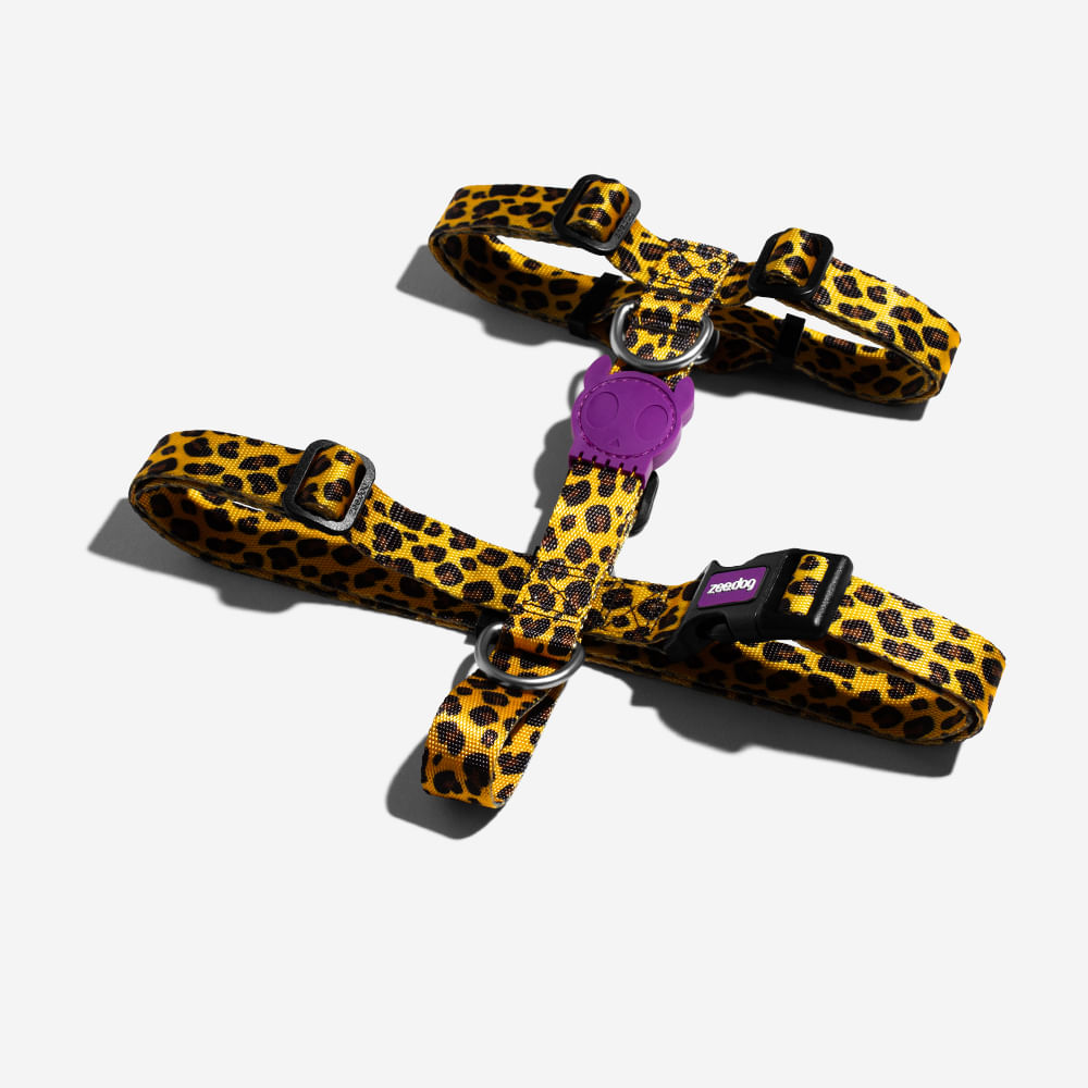 Peitoral para Cachorros H Honey | Imagem 3