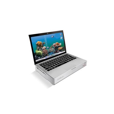 Arranhador Lampet Catbook Prata para Gatos U