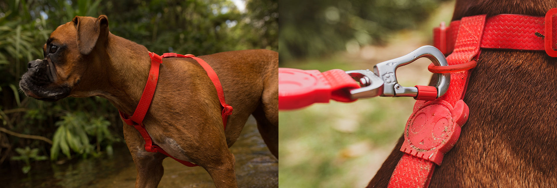 Peitoral para Cachorros H Neopro Coral | Lifestyle Images