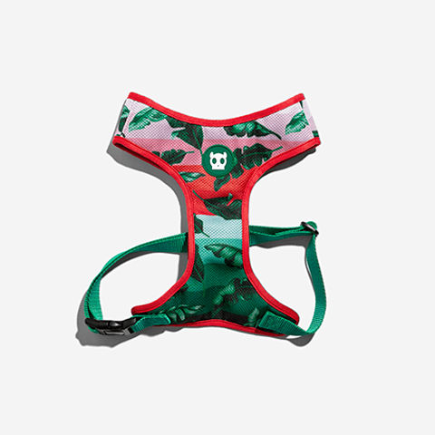 Peitoral para Cachorros Air Mesh Bali PP