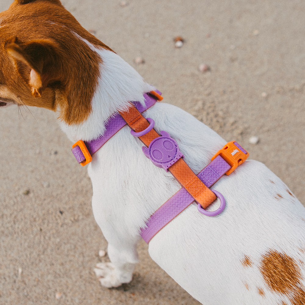 Peitoral para Cachorros H Neopro Iris