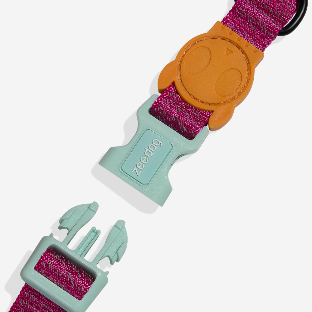 Coleira para Cachorros NOX Sidus | Imagem 2