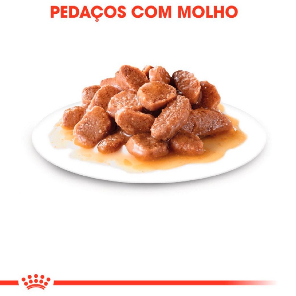 Ração Royal Canin Sachê Instinctive para Gatos Adultos