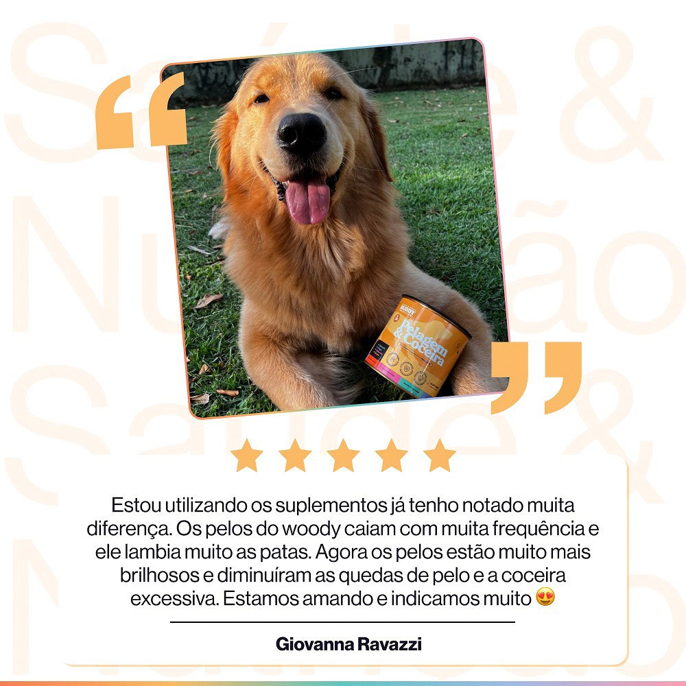Suplemento Alimentar Buddy Nutrition Pele & Pelagem Sabor Carne para Cães - 60 Tabletes
