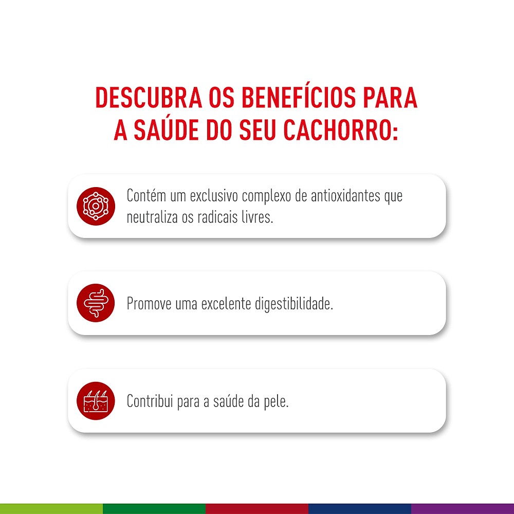 Ração Royal Canin Medium Adult para Cães Adultos de Porte Médio de 12 Meses a 7 anos