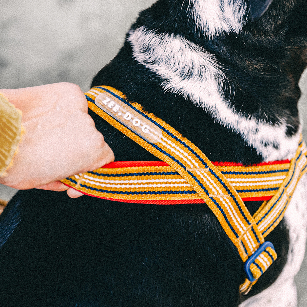 Peitoral Antipuxão SofterWalk para Cachorros Velvet Vibes Misfit | Imagem 3