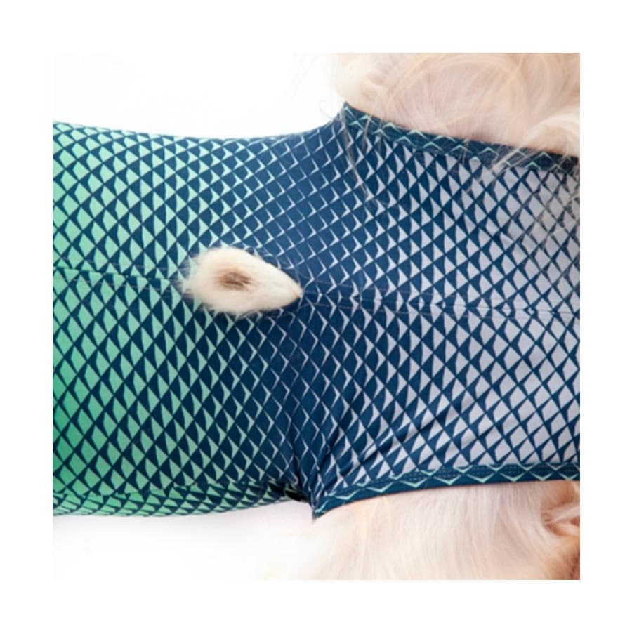 Roupa Cirúrgica Pet Med para Macho Ultra Light Castração Azul e Verde
