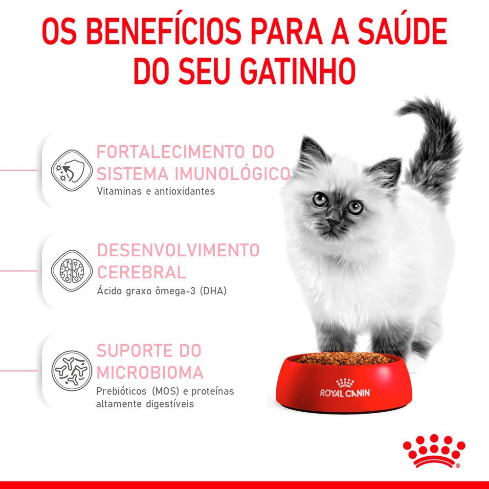 Ração Royal Canin Kitten para Gatos Filhotes de 4 - 12 meses de idade