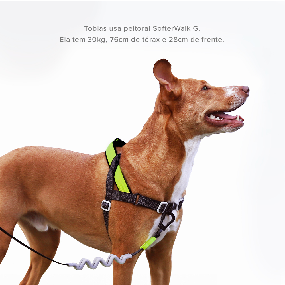 Peitoral Antipuxão SofterWalk para Cachorros Nox 
