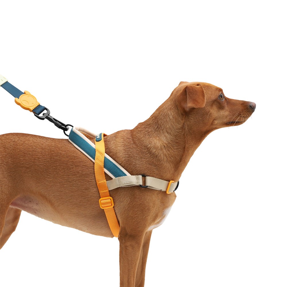 Peitoral Antipuxão SofterWalk para Cachorros Voyage