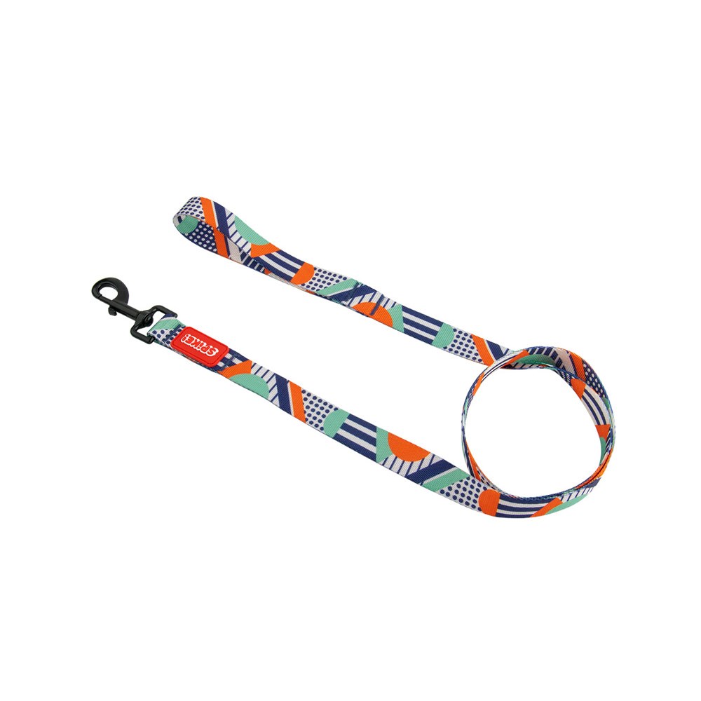 Guia Spike Geo para Cães